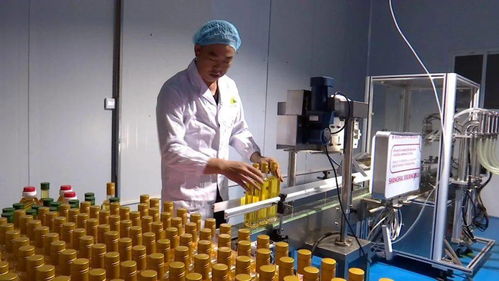 科技創新助力榕江山茶油產業實現自動化生產